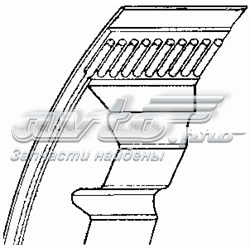 Correa trapezoidal AVX10X1110 Continental/Siemens