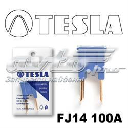 FJ14 100A Tesla fusible