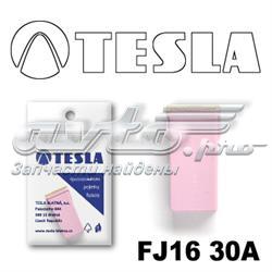 FJ16 30A Tesla fusible