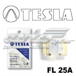 FL 25A.10 Tesla fusible