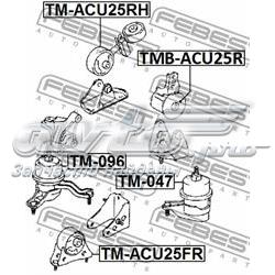 TM-ACU25FR Febest soporte motor delantero