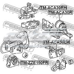 TM-ACA30R Febest soporte de motor trasero