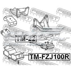 TM-22 Febest soporte motor delantero