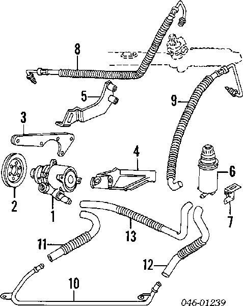 027903137 VAG correa trapezoidal