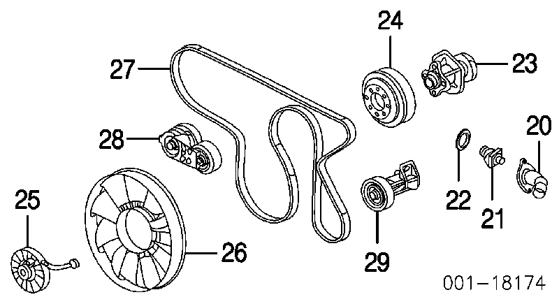 12576450 General Motors correa trapezoidal