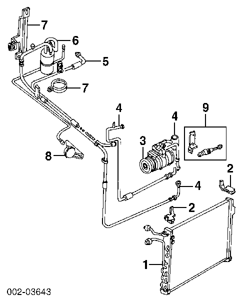 E9DZ8620D Ford correa trapezoidal