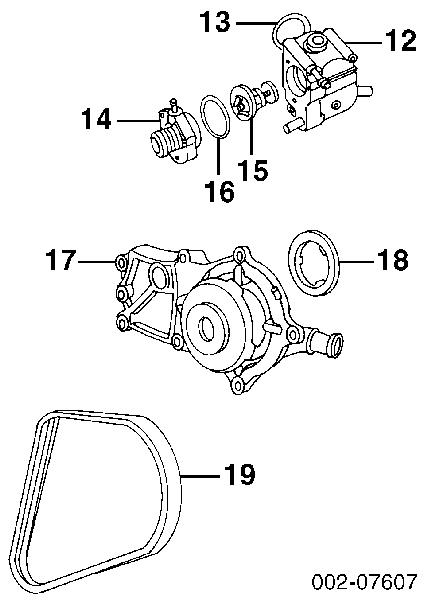 F8RZ8620BB Ford correa trapezoidal