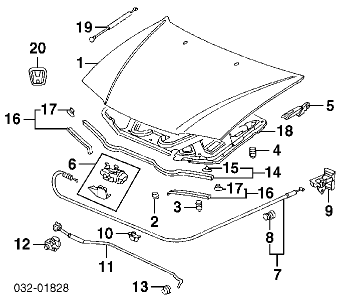 Capó del motor 60100SV4508ZZ Honda