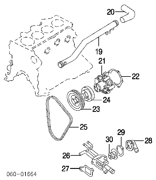 2562023610 Hyundai/Kia caja del termostato