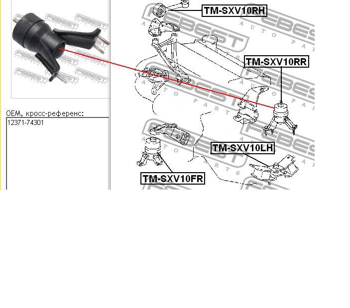 TM-SXV10RR Febest soporte de motor trasero