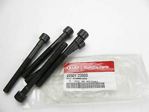 2232123000 Hyundai/Kia tornillo de culata