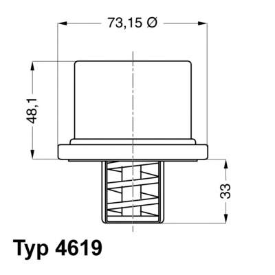 4619.80 Wahler termostato, refrigerante