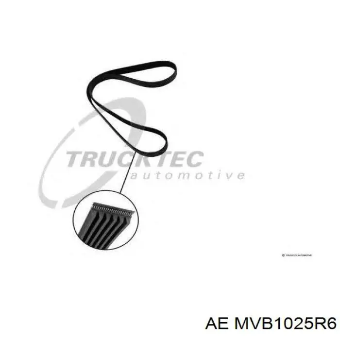 MVB1025R6 AE correa trapezoidal