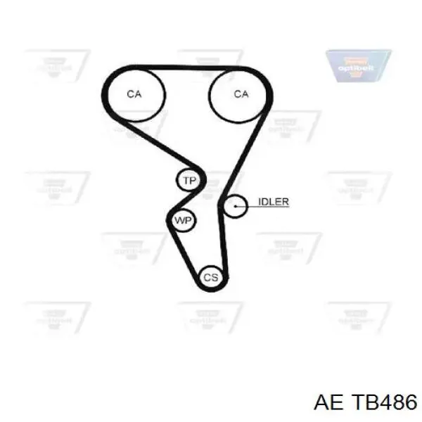 TB486 AE correa distribucion