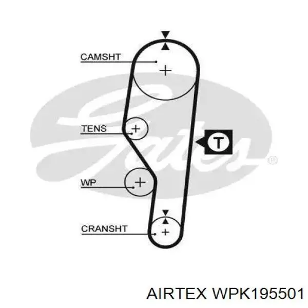 WPK-195501 Airtex kit correa de distribución