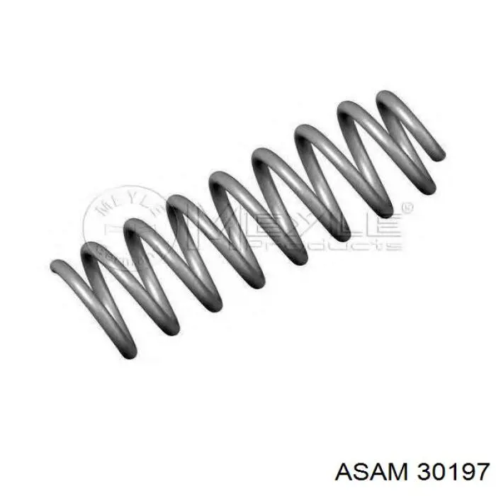 30197 Asam muelle de suspensión eje delantero