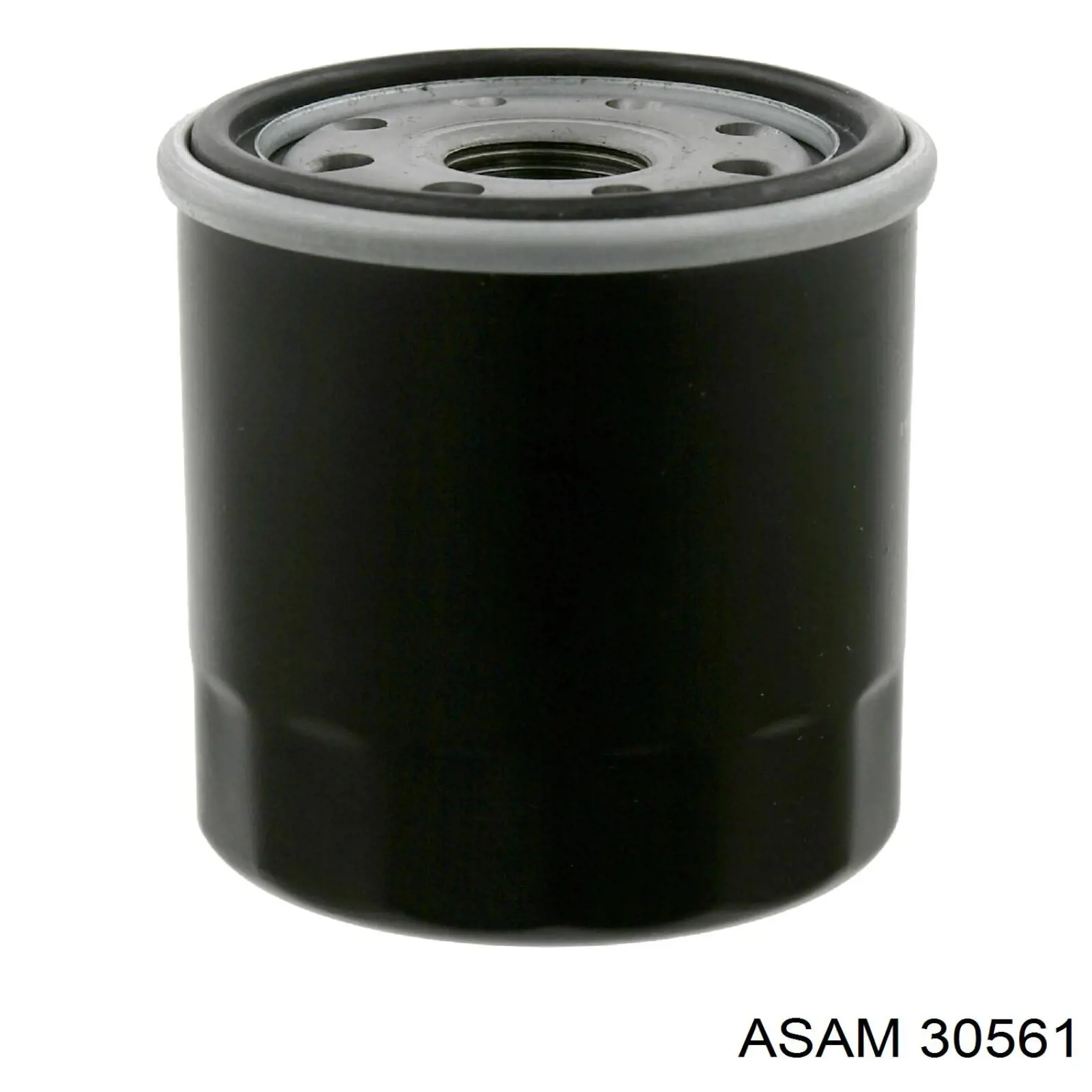 30561 Asam filtro de aceite