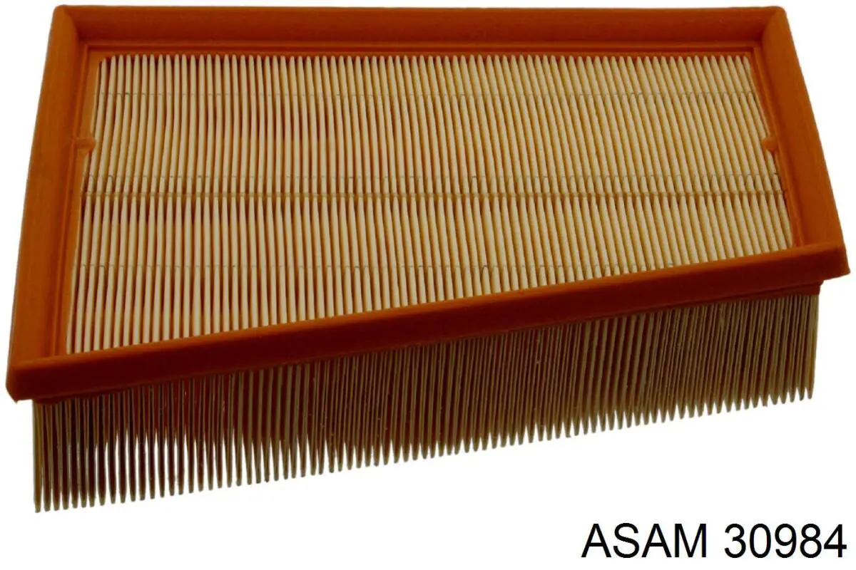 30984 Asam correa trapezoidal