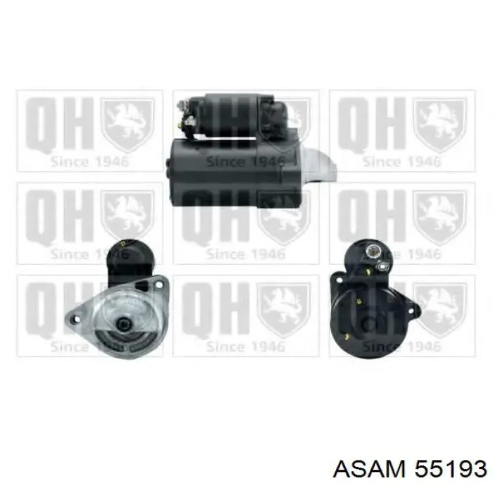 55193 Asam motor de arranque