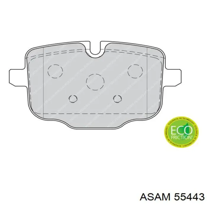 55443 Asam pastillas de freno traseras