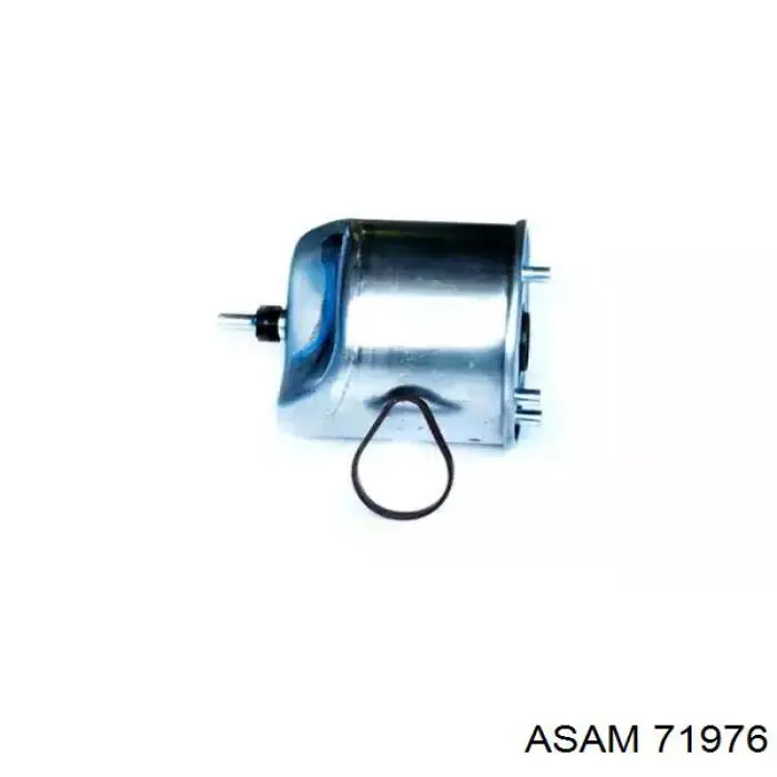 71976 Asam filtro combustible