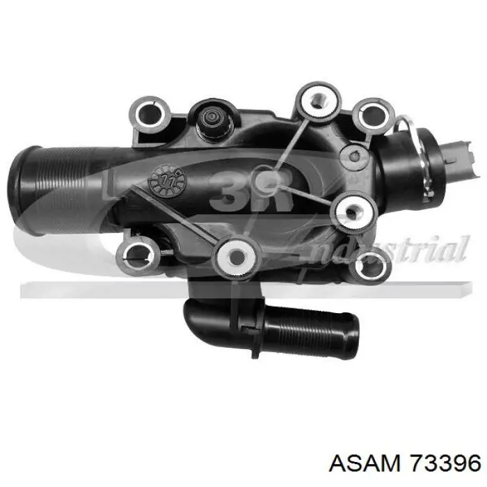 73396 Asam caja del termostato