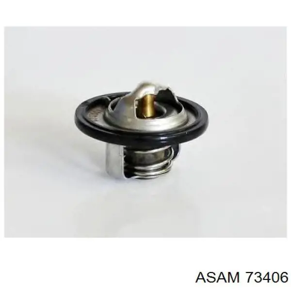 73406 Asam termostato, refrigerante