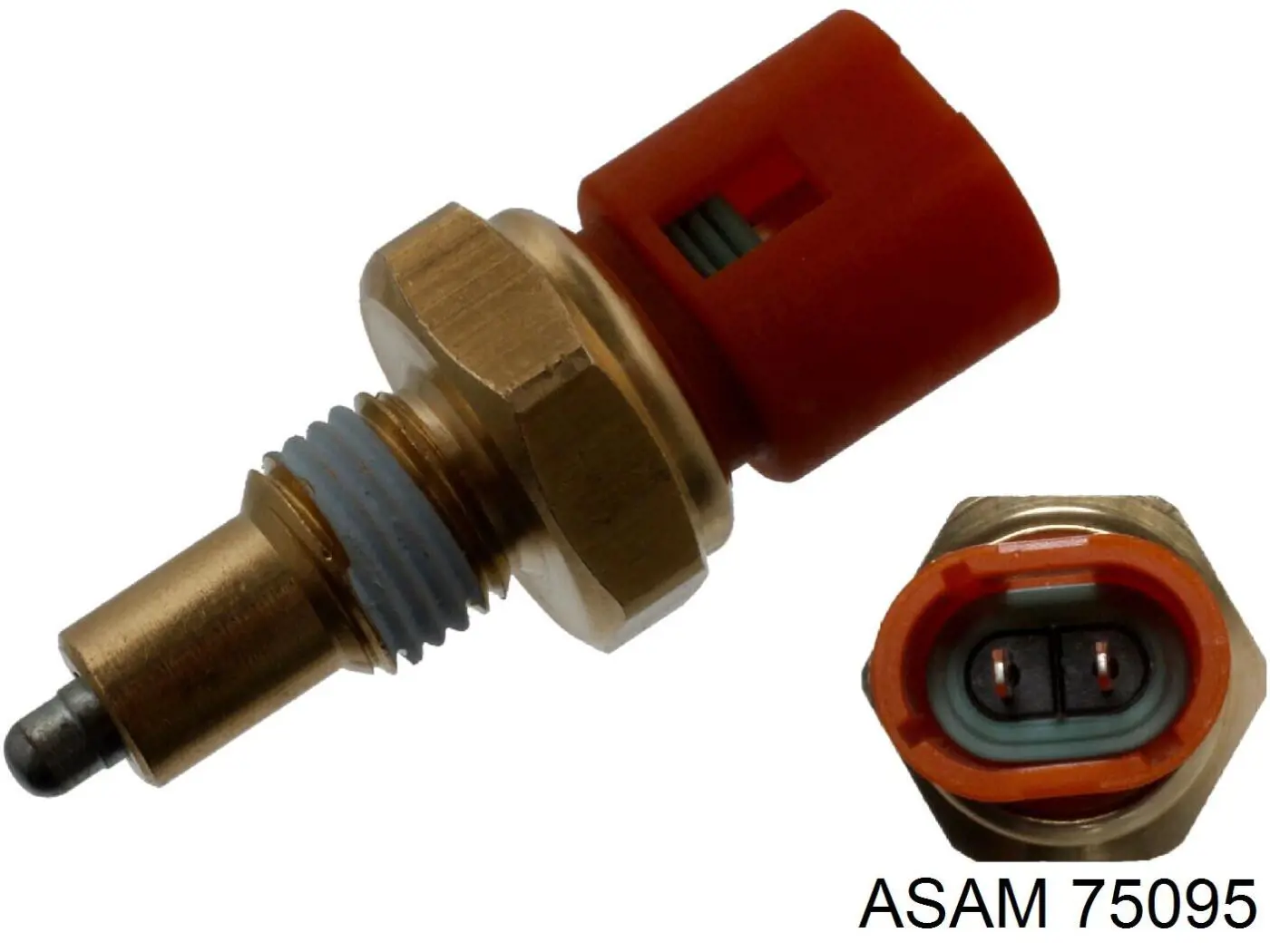 75095 Asam interruptor, piloto de marcha atrás