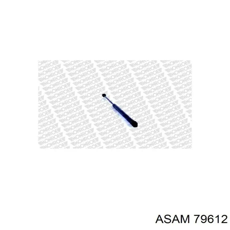 79612 Asam muelle neumático, capó de motor