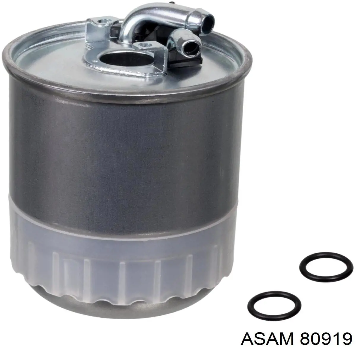 80919 Asam filtro combustible