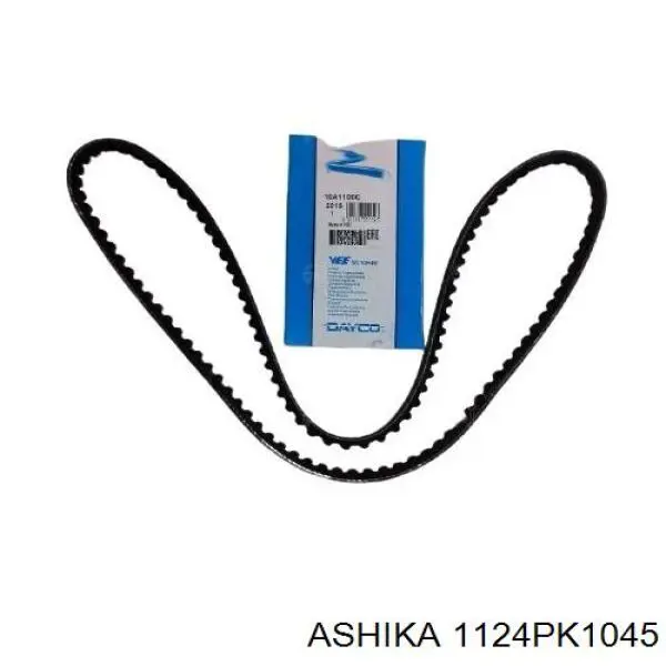 112-4PK1045 Ashika correa trapezoidal