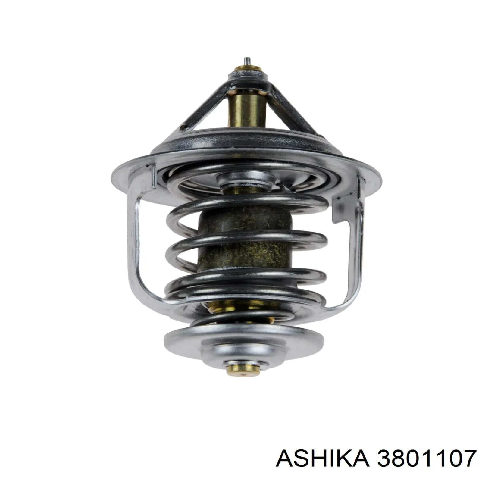 3801107 Ashika termostato, refrigerante