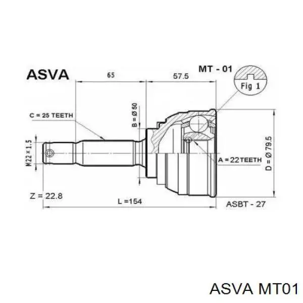 MT01 Asva junta homocinética exterior delantera