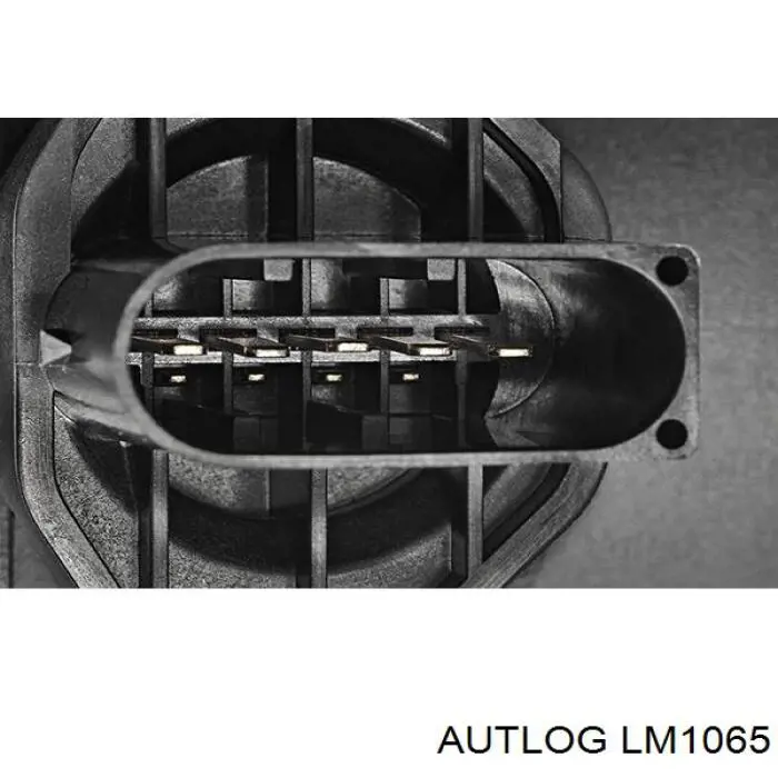 LM1065 Autlog sensor de flujo de aire/medidor de flujo (flujo de aire masibo)