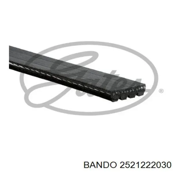 2521222030 Bando correa trapezoidal