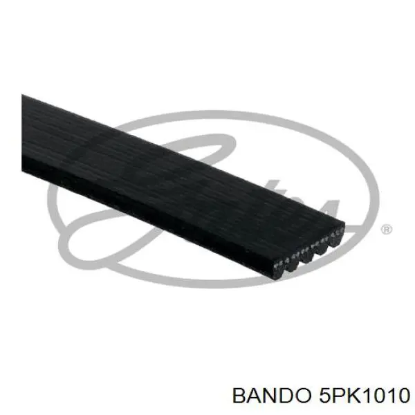 5PK1010 Bando correa trapezoidal