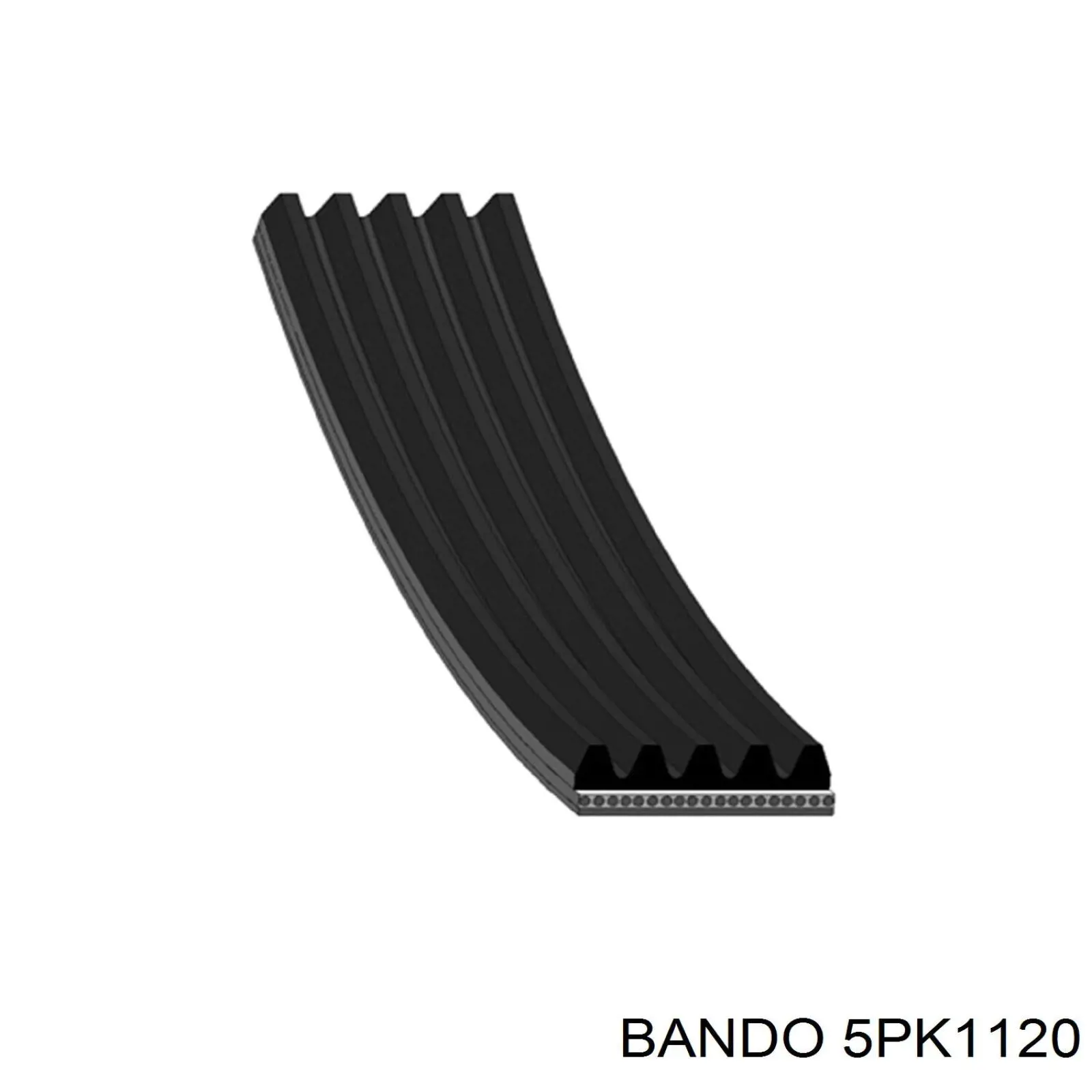 9936551120 Toyota correa trapezoidal