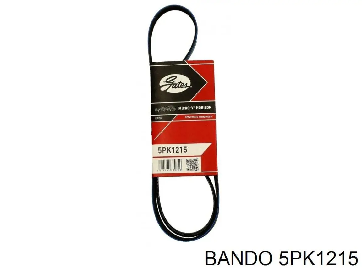 5PK1215 Bando correa trapezoidal