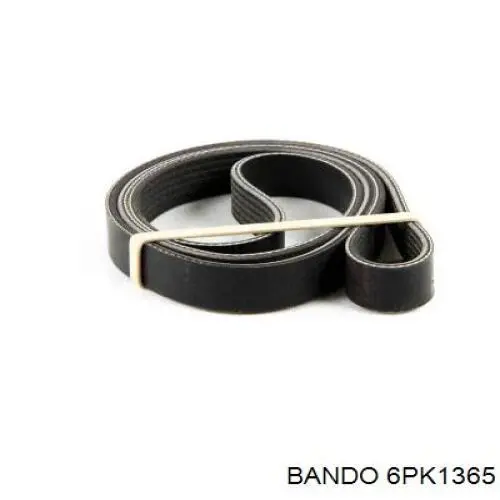 6PK1365 Bando correa trapezoidal