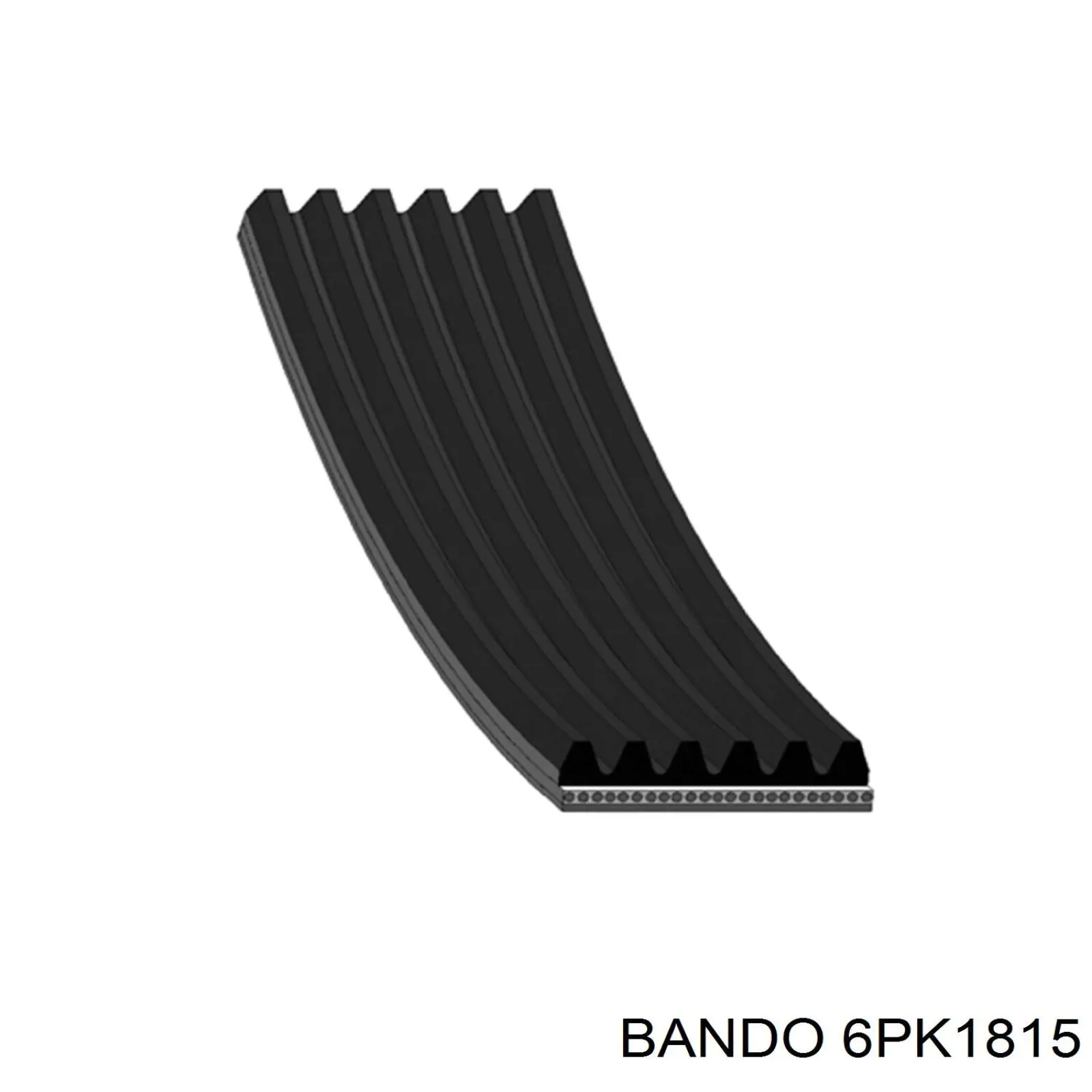 6PK1815 Bando correa trapezoidal