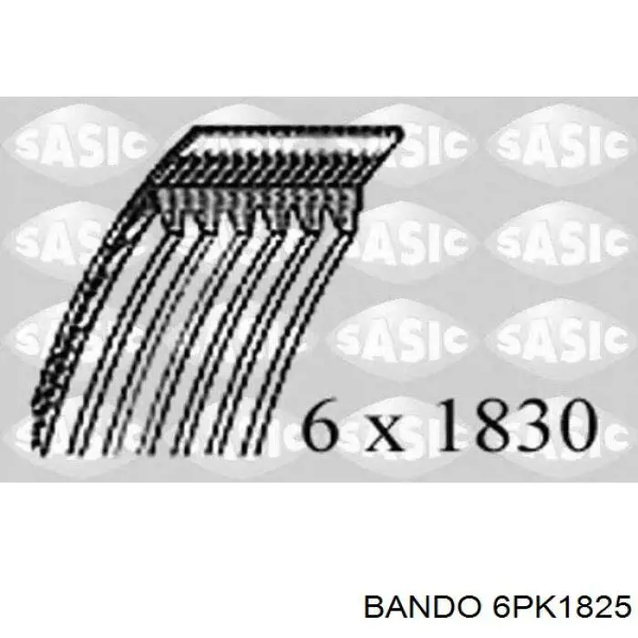 BS1987946208 Polcar correa trapezoidal