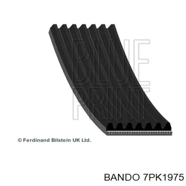 7PK1975 Bando correa trapezoidal