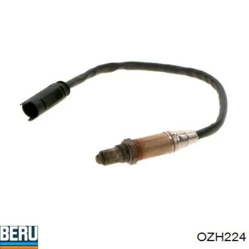 OZH224 Beru sonda lambda, sensor de oxígeno despues del catalizador derecho