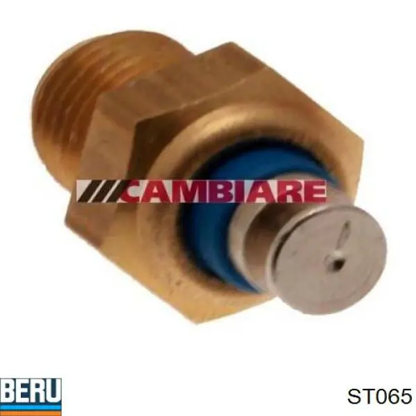 ST065 Beru sensor, temperatura del aceite