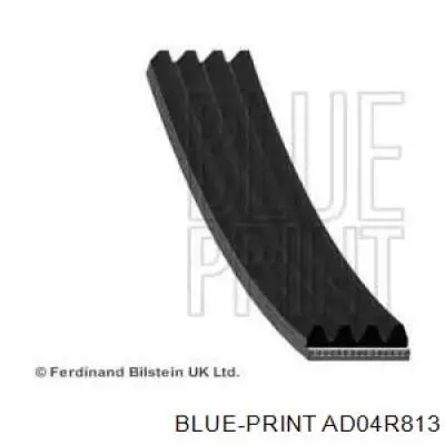 AD04R813 Blue Print correa trapezoidal