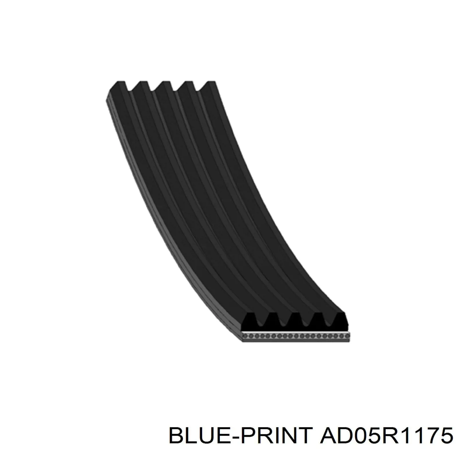 AD05R1175 Blue Print correa trapezoidal