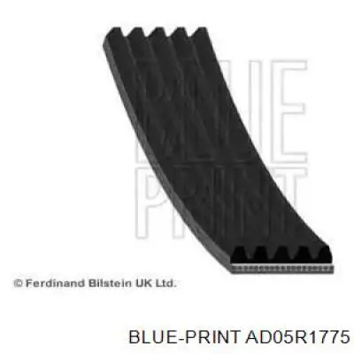 AD05R1775 Blue Print correa trapezoidal