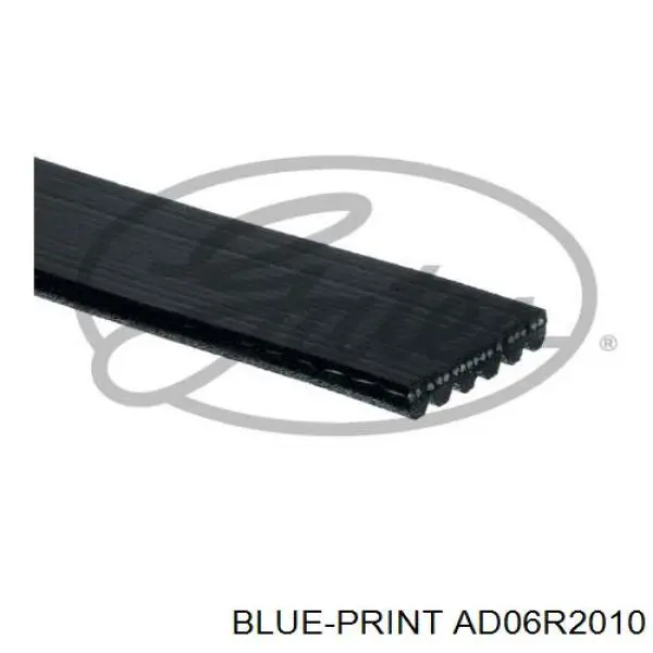 AD06R2010 Blue Print correa trapezoidal