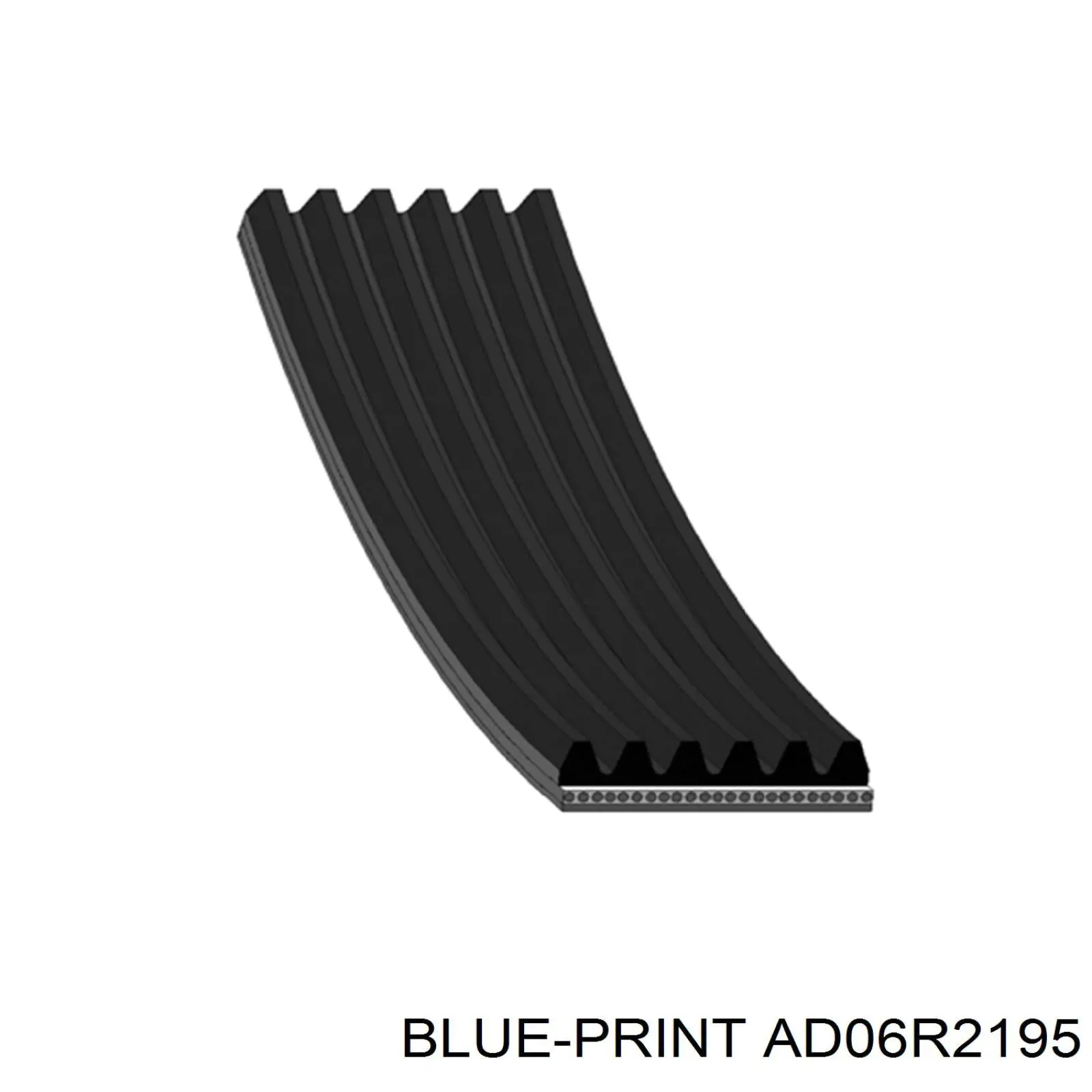 AD06R2195 Blue Print correa trapezoidal