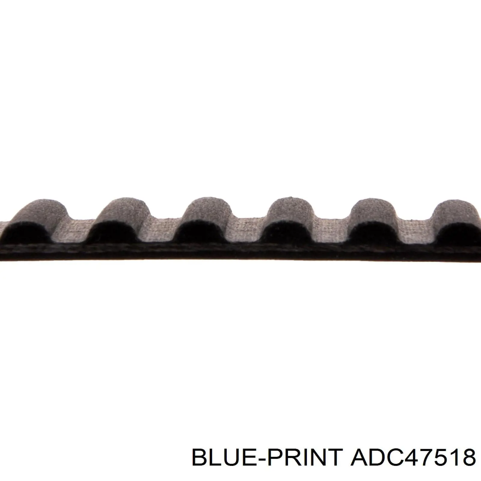 ADC47518 Blue Print correa distribucion